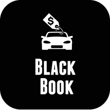 Black Book icon.